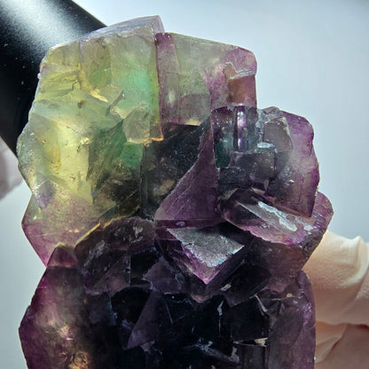 Seltene Phantom Fluorit Würfel Stufe, grün lila Okorusu, Namibia 80*48*32mm #13040