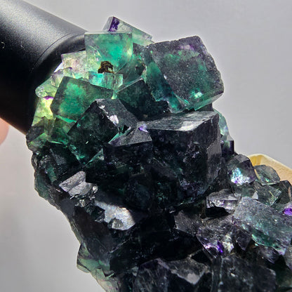 Seltene Phantom Fluorit Würfel Stufe, grün lila Okorusu, Namibia 79*51*32mm #13042