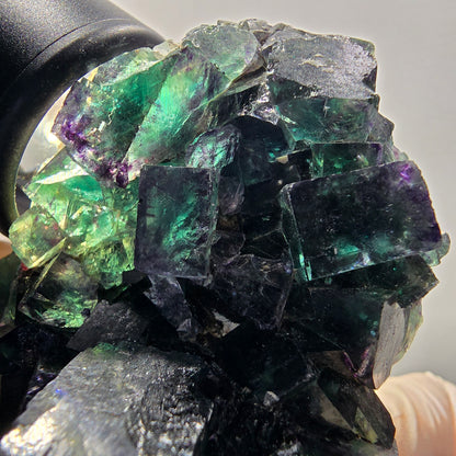 Seltene Phantom Fluorit Würfel Stufe, grün lila Okorusu, Namibia 79*51*32mm #13042