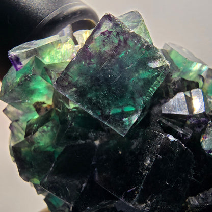 Seltene Phantom Fluorit Würfel Stufe, grün lila Okorusu, Namibia 79*51*32mm #13042