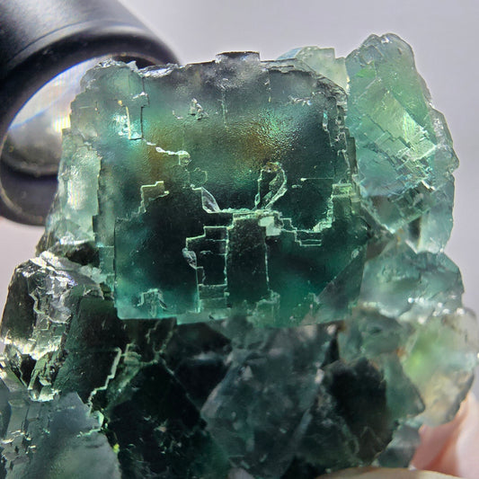 Seltene Phantom Fluorit Würfel Stufe parkettiert grün Okorusu, Namibia 70*54*38mm #13043