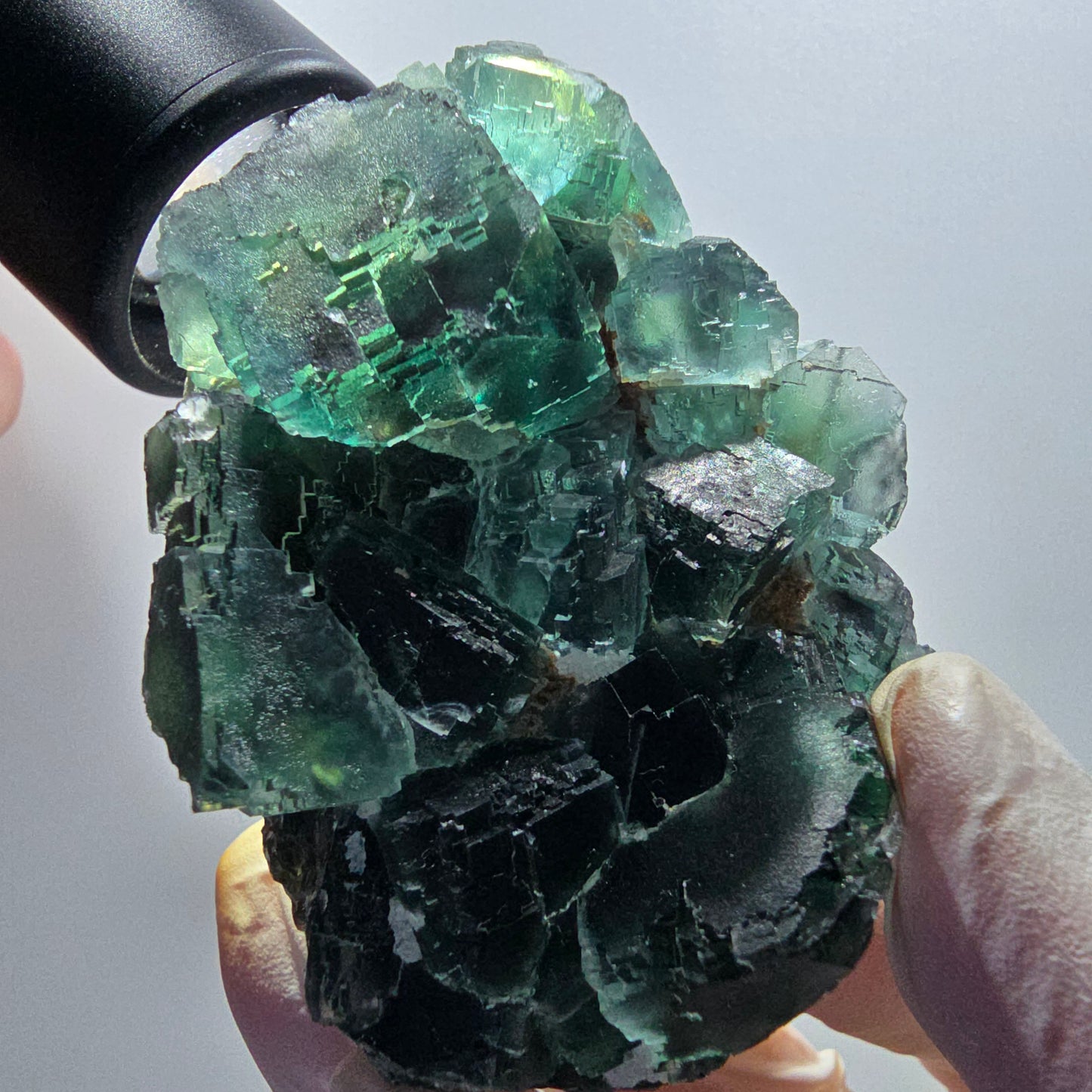 Seltene Phantom Fluorit Würfel Stufe parkettiert grün Okorusu, Namibia 70*54*38mm #13043