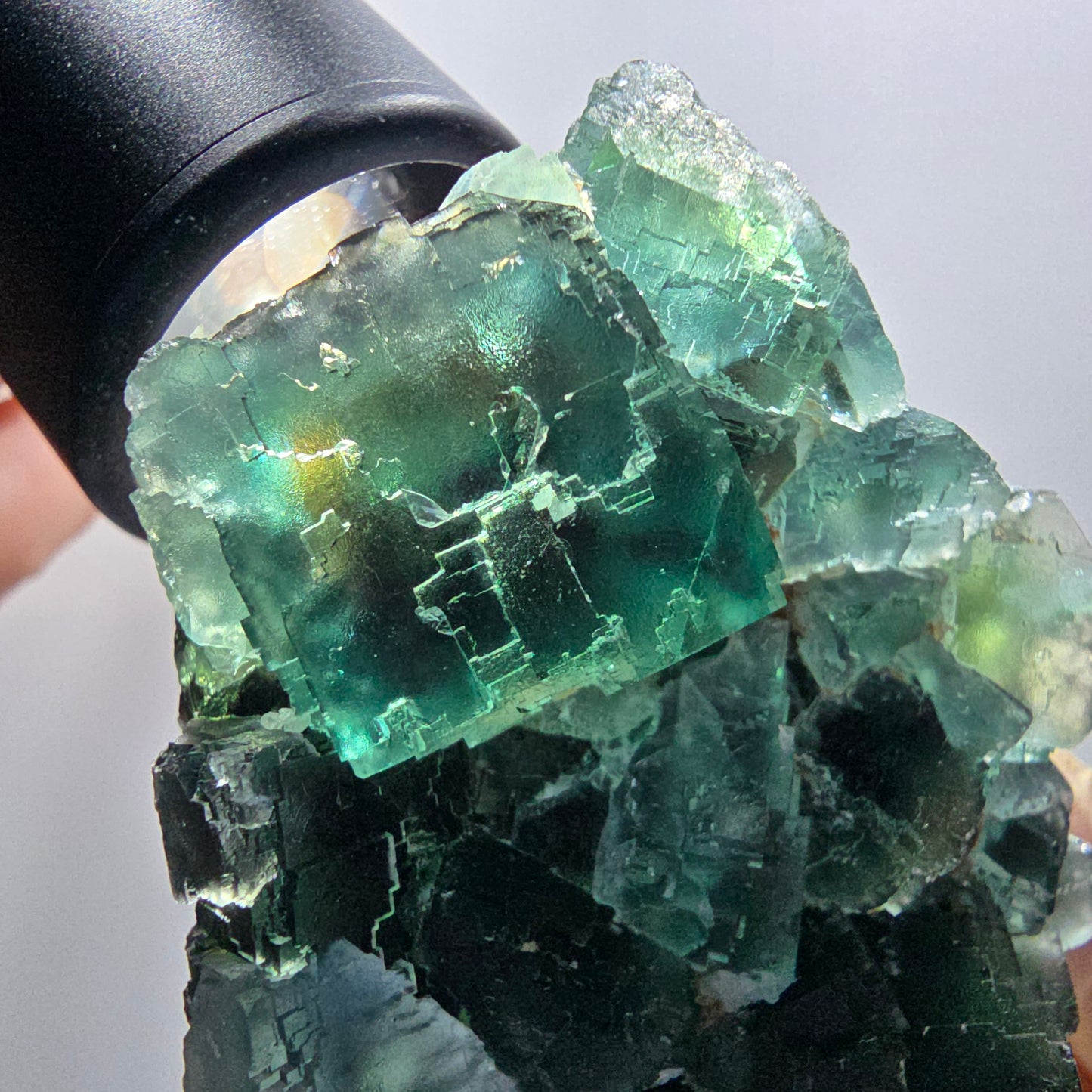Seltene Phantom Fluorit Würfel Stufe parkettiert grün Okorusu, Namibia 70*54*38mm #13043