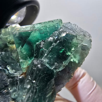 Seltene Phantom Fluorit Würfel Stufe parkettiert grün Okorusu, Namibia 70*54*38mm #13043