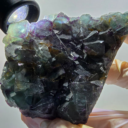 Phantom Fluorit Würfel Stufe, zonal, parkettiert grün lila Okorusu, Namibia 88*68*18mm #13047
