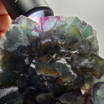 Phantom Fluorit Würfel Stufe, zonal, parkettiert grün lila Okorusu, Namibia 88*68*18mm #13047