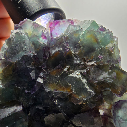 Phantom Fluorit Würfel Stufe, zonal, parkettiert grün lila Okorusu, Namibia 88*68*18mm #13047