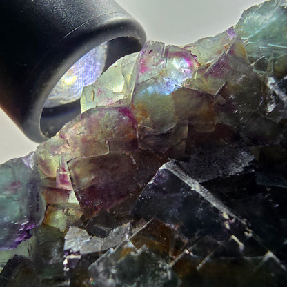 Phantom Fluorit Würfel Stufe, zonal, parkettiert grün lila Okorusu, Namibia 88*68*18mm #13047