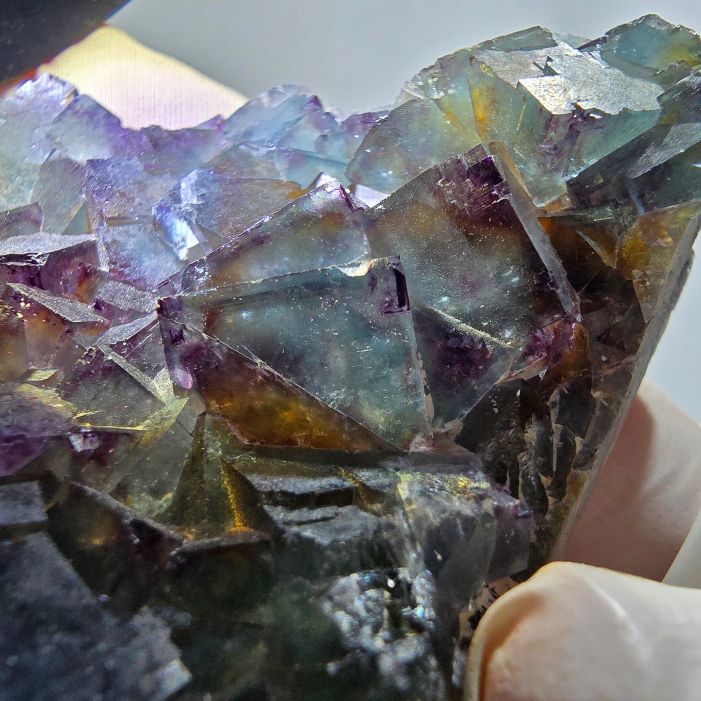 Phantom Fluorit Würfel Stufe, zonal, parkettiert grün lila Okorusu, Namibia 88*68*18mm #13047