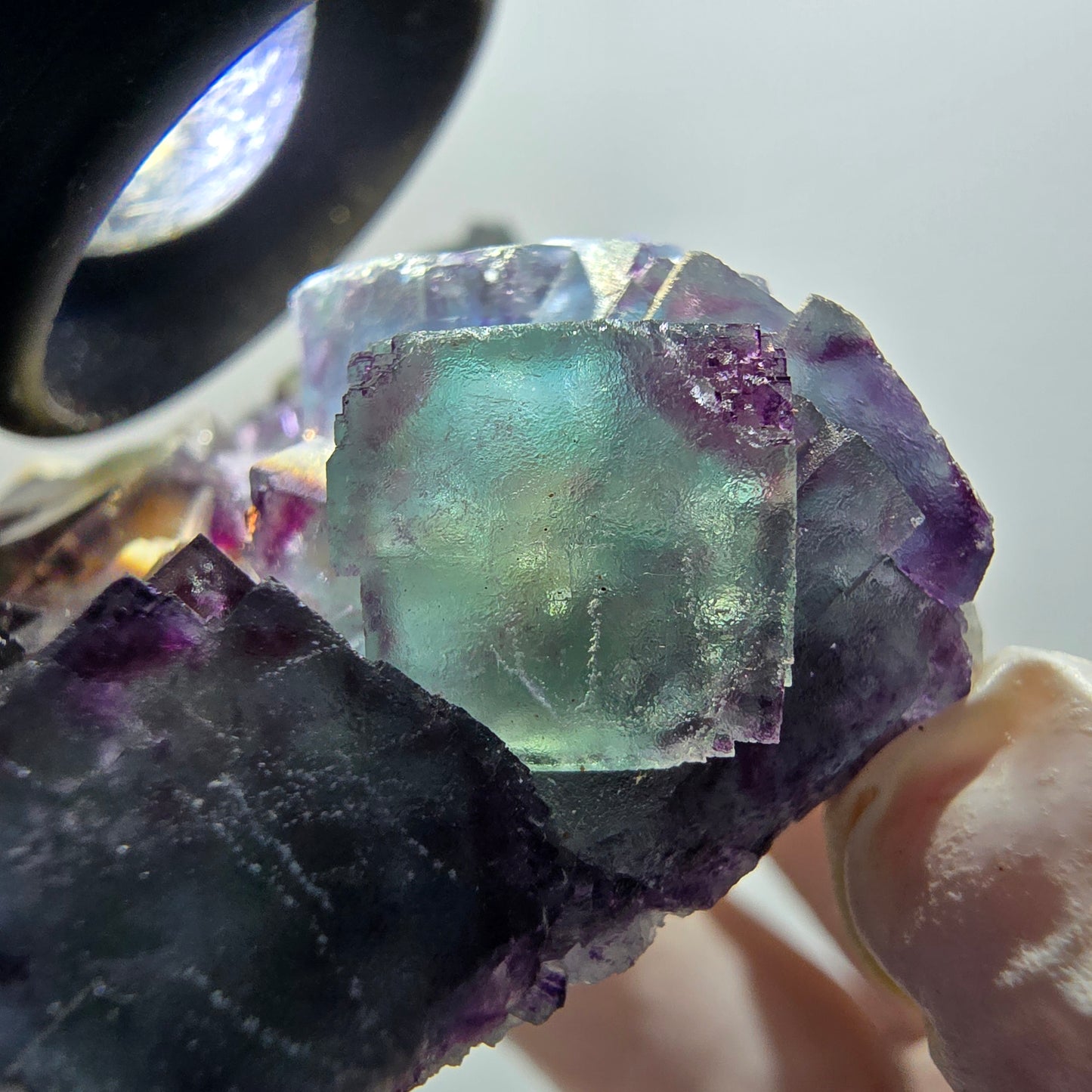 Phantom Fluorit Würfel Stufe, zonal, parkettiert grün lila Okorusu, Namibia 88*68*18mm #13047