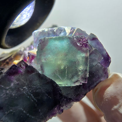 Phantom Fluorit Würfel Stufe, zonal, parkettiert grün lila Okorusu, Namibia 88*68*18mm #13047