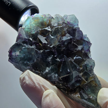 Phantom Fluorit Würfel Stufe, zonal, parkettiert grün lila Okorusu, Namibia 88*68*18mm #13047