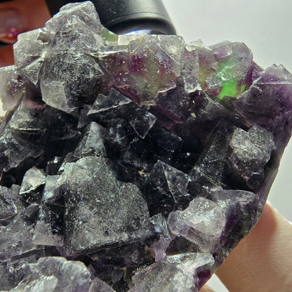 Phantom Fluorit Würfel, Quarz Stufe, grün lila Okorusu, Namibia 82*66*27mm #13048