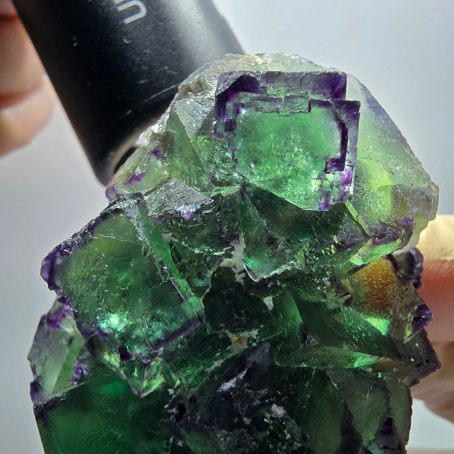 Phantom Fluorit Würfel Stufe, zonal, parkettiert grün lila Okorusu, Namibia 70*50*38mm #13051