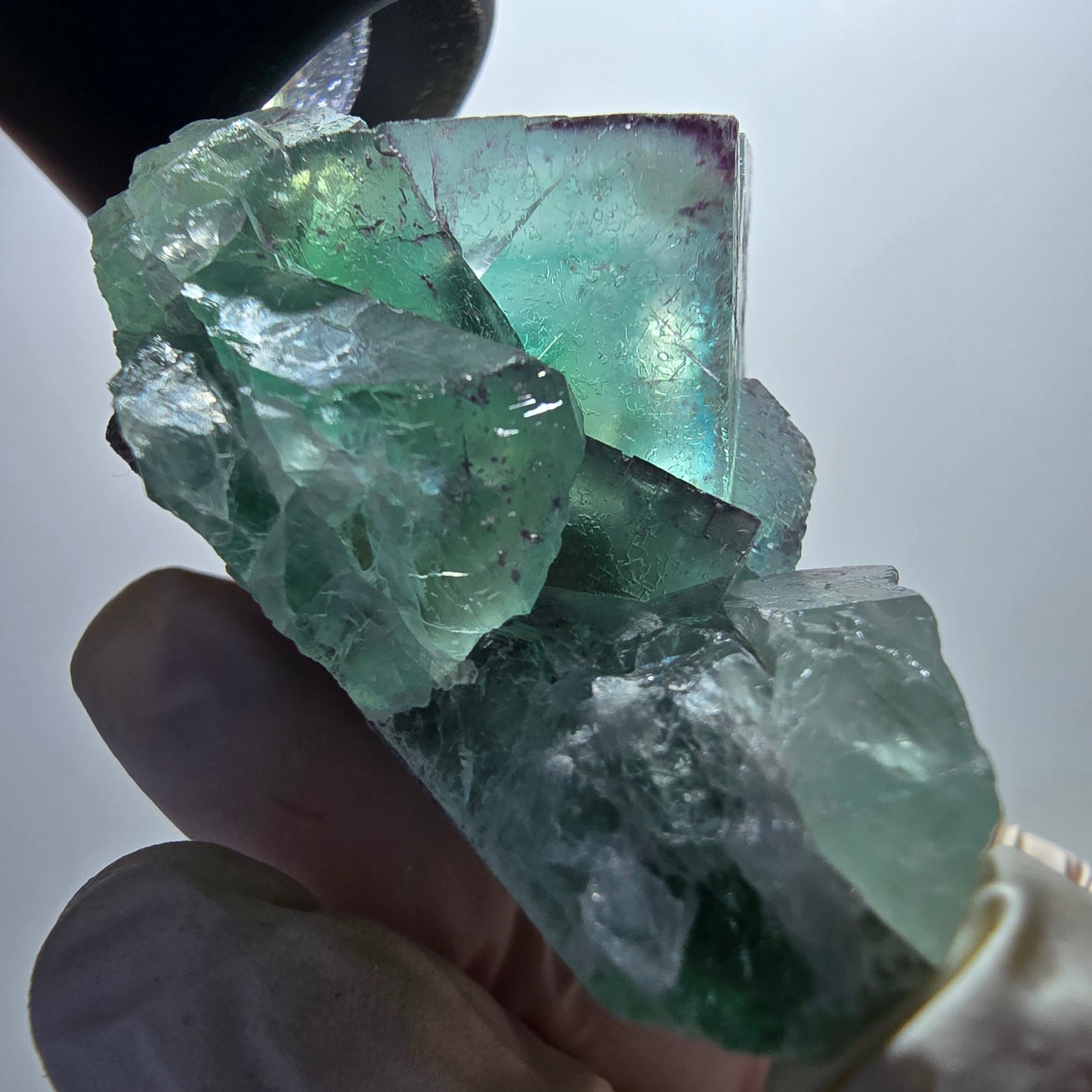 Phantom Fluorit Würfel Stufe, parkettiert grün Okorusu, Namibia 67*55*39mm #13058