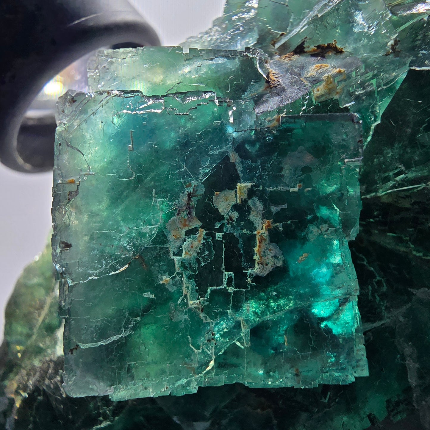 Phantom Fluorit Würfel Stufe, parkettiert grün Okorusu, Namibia 107*68*38mm #13060