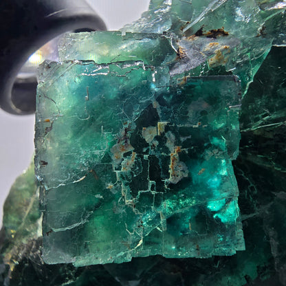 Phantom Fluorit Würfel Stufe, parkettiert grün Okorusu, Namibia 107*68*38mm #13060