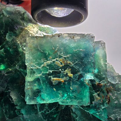 Phantom Fluorit Würfel Stufe, parkettiert grün Okorusu, Namibia 107*68*38mm #13060