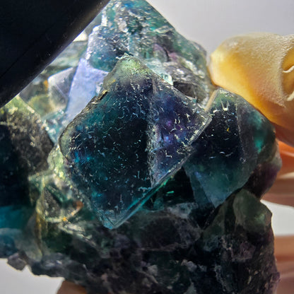 Phantom Fluorit Würfel Stufe, blau Butterfly Pocket, Okorusu, Namibia 92*76*41mm #13061