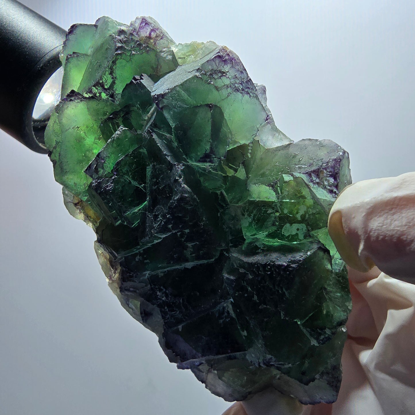 Phantom Fluorit Würfel Stufe, zonal, parkettiert Okorusu, Namibia 95*56*36mm #13066
