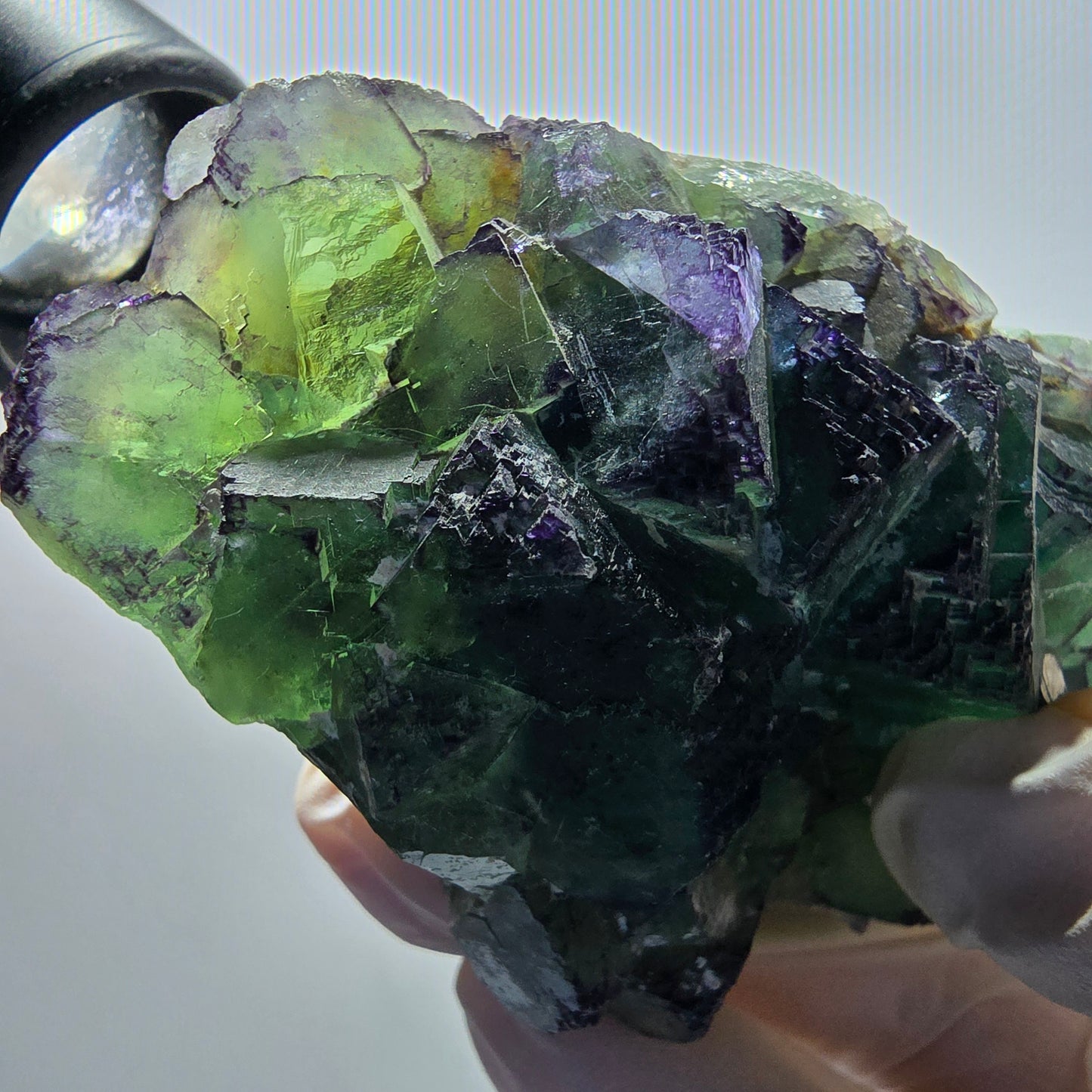 Phantom Fluorit Würfel Stufe, zonal, parkettiert Okorusu, Namibia 95*56*36mm #13066