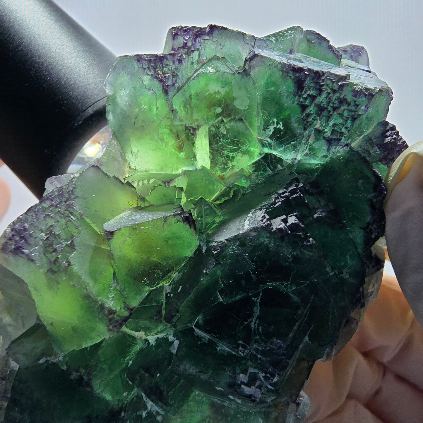 Phantom Fluorit Würfel Stufe, zonal, parkettiert Okorusu, Namibia 95*56*36mm #13066
