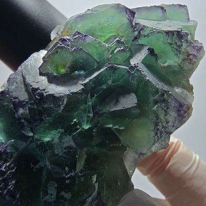 Phantom Fluorit Würfel Stufe, zonal, parkettiert Okorusu, Namibia 95*56*36mm #13066