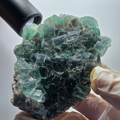 Phantom Fluorit Würfel Stufe, parkettiert grün Okorusu, Namibia 90*72*24mm #13067