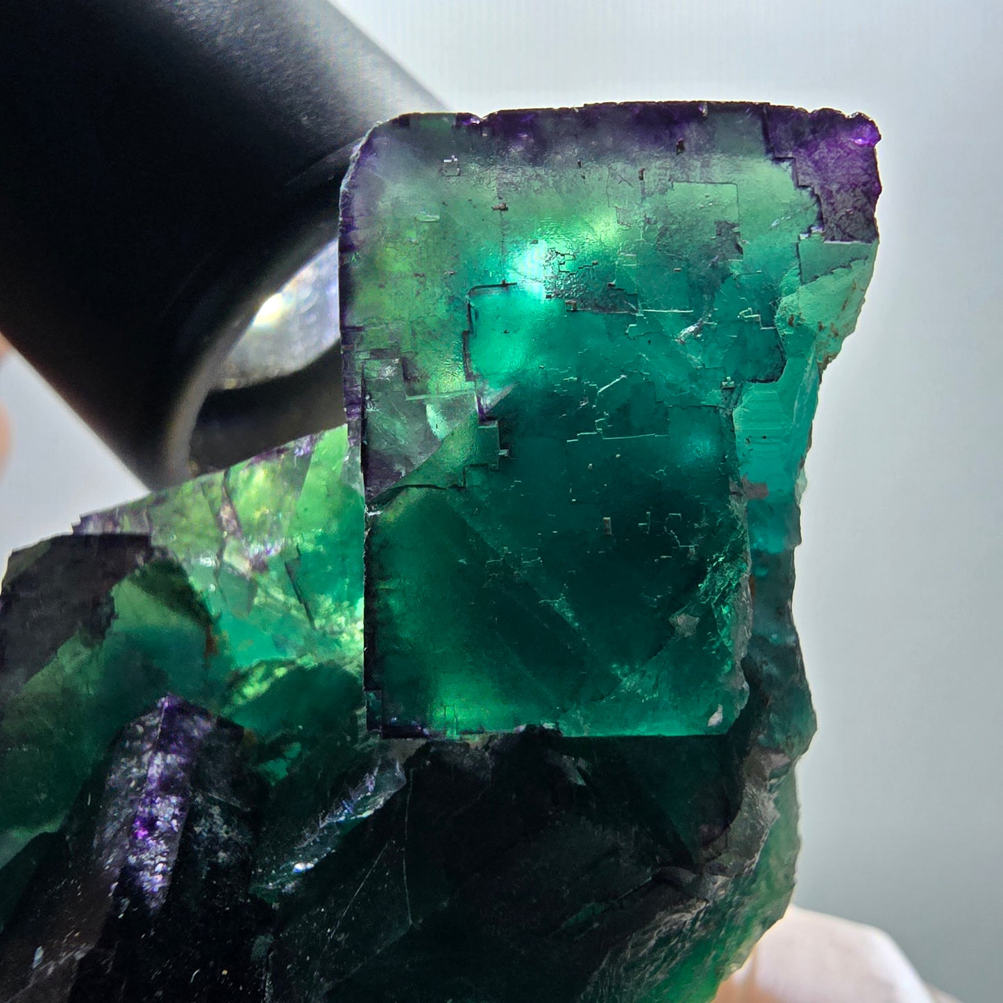 Phantom Fluorit Würfel Stufe, zonal, parkettiert Okorusu, Namibia 100*40*36mm #13070