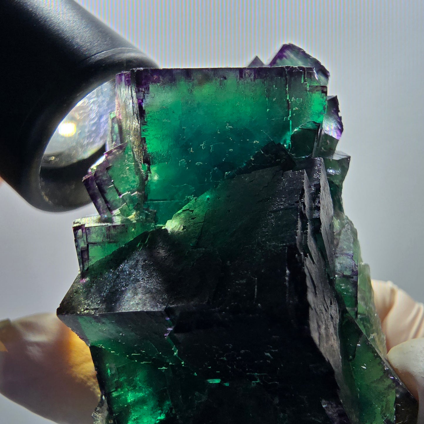 Phantom Fluorit Würfel Stufe, zonal, parkettiert Okorusu, Namibia 100*40*36mm #13070
