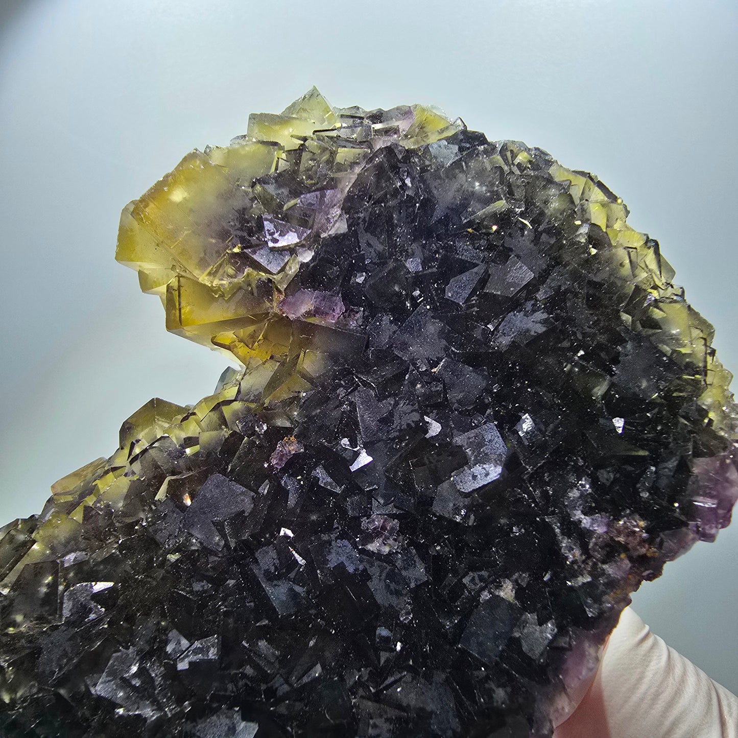 Große Phantom Fluorit Würfel Stufe, gelb lila Okorusu, Namibia 137*85*38mm #13073