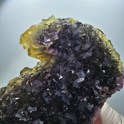 Große Phantom Fluorit Würfel Stufe, gelb lila Okorusu, Namibia 137*85*38mm #13073