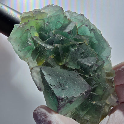 Phantom Fluorit Würfel Stufe, zonal, parkettiert Okorusu, Namibia 122*77*32mm #13074