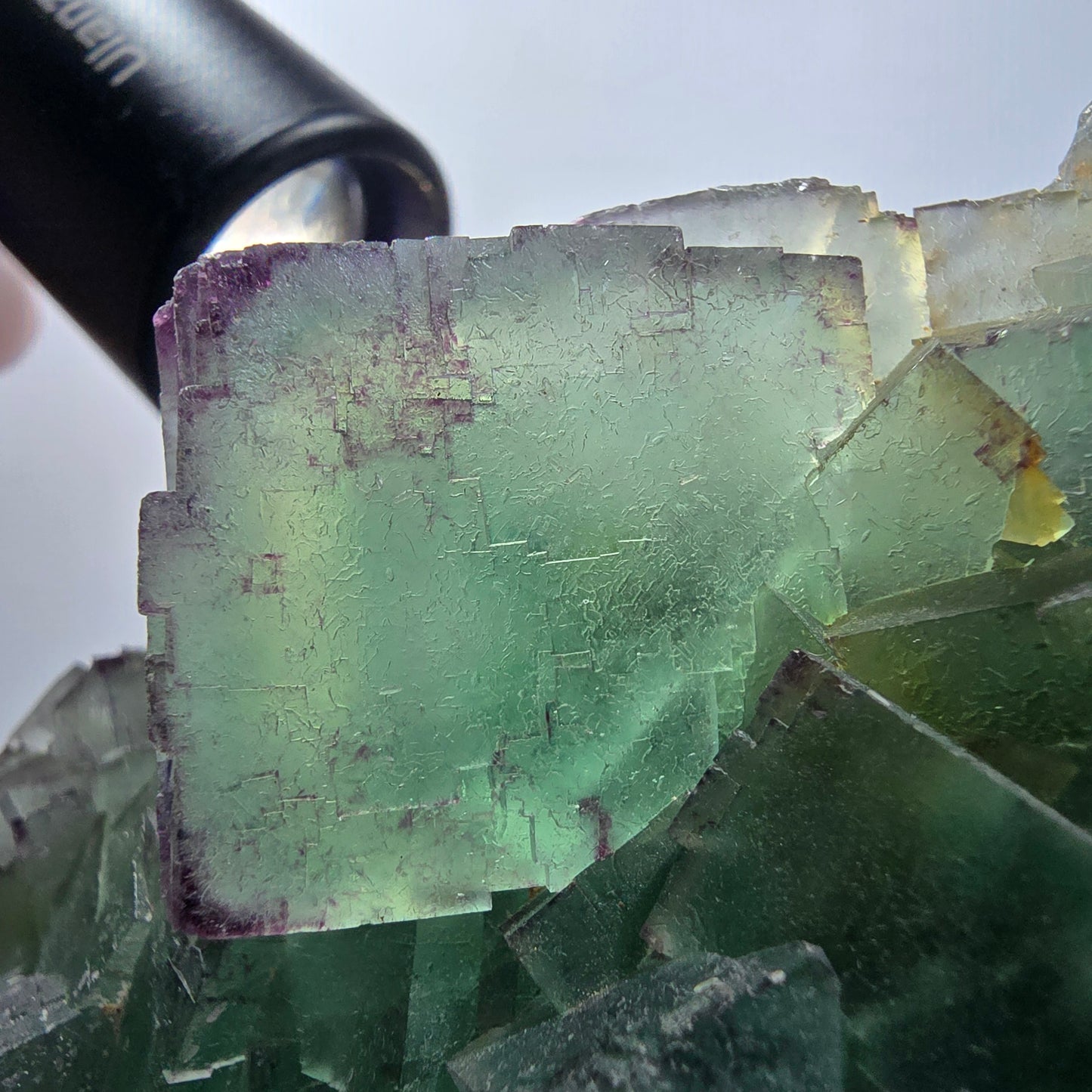 Phantom Fluorit Würfel Stufe, zonal, parkettiert Okorusu, Namibia 122*77*32mm #13074