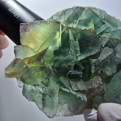 Phantom Fluorit Würfel Stufe, zonal, parkettiert Okorusu, Namibia 122*77*32mm #13074