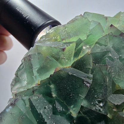 Phantom Fluorit Würfel Stufe, zonal, parkettiert Okorusu, Namibia 122*77*32mm #13074