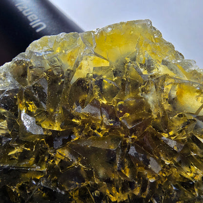 Phantom Fluorit Würfel Stufe, gelb Honey Pocket Mine, Okorusu Namibia 89*77*12mm #13075