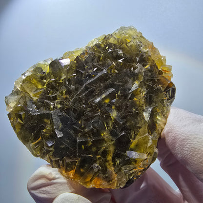 Phantom Fluorit Würfel Stufe, gelb Honey Pocket Mine, Okorusu Namibia 68*58*14mm #13076