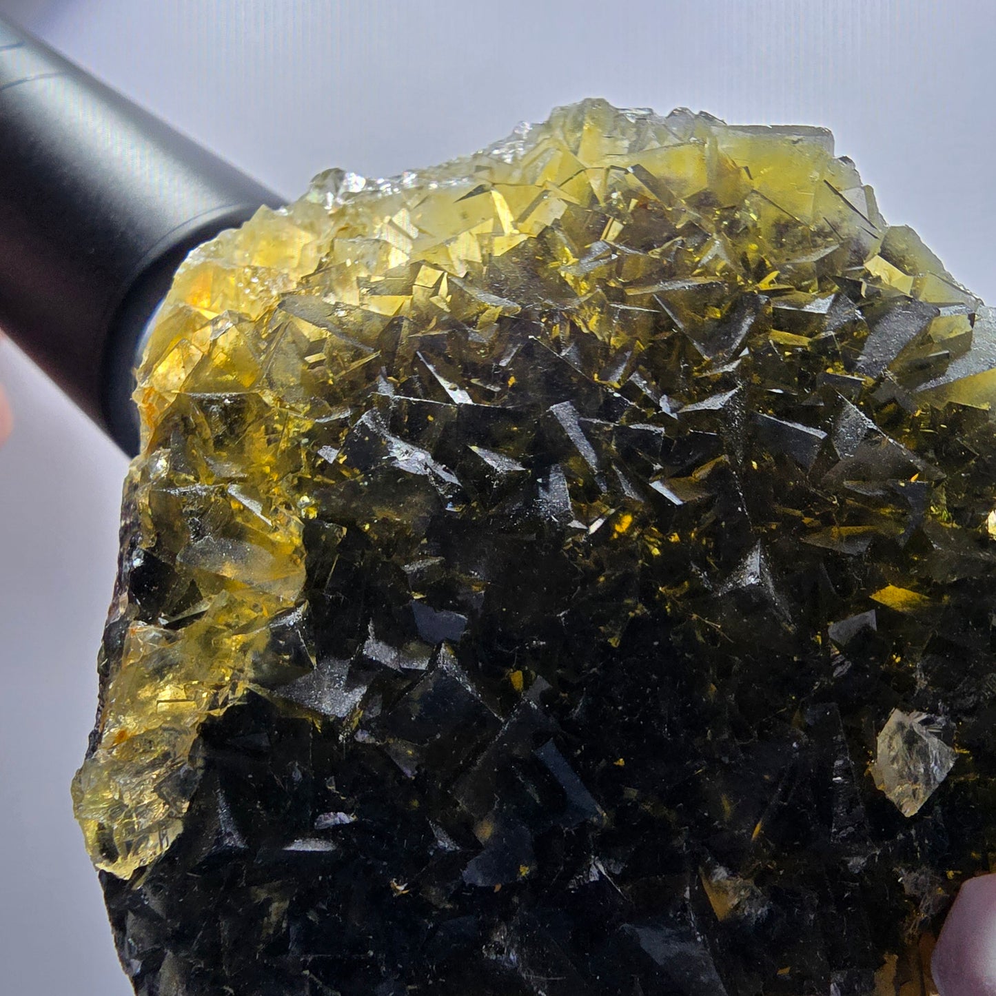 Phantom Fluorit Würfel Stufe, gelb Honey Pocket Mine, Okorusu Namibia 85*69*17mm #13077
