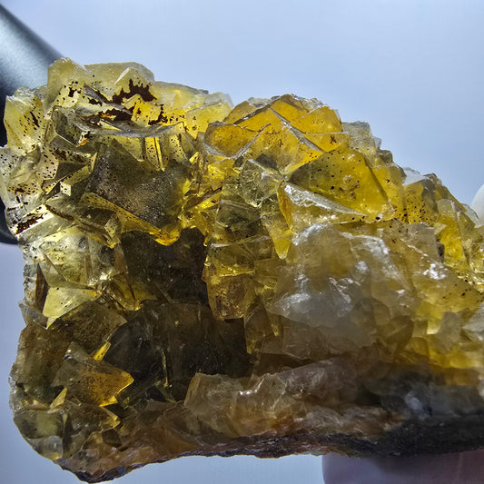 Phantom Fluorit Würfel Stufe, gelb Honey Pocket Mine, Okorusu Namibia 81*52*29mm #13080