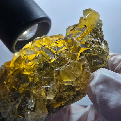 Phantom Fluorit Würfel Stufe, gelb Honey Pocket Mine, Okorusu Namibia 81*52*29mm #13080
