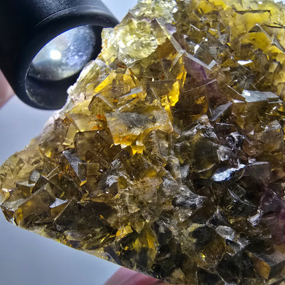 Phantom Fluorit Würfel Stufe, gelb Honey Pocket Mine, Okorusu Namibia 71*63*16mm #13083