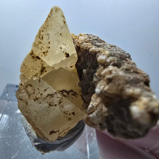 Seltene Calcit X auf Matrix Kristall Spitze, gelb Erongo, Namibia 35*30*20mm #13087