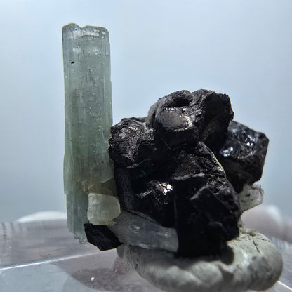 Seltene Aquamarin X auf Schörl Turmalin Stufe Erongo, Namibia 21*16*20mm #13106