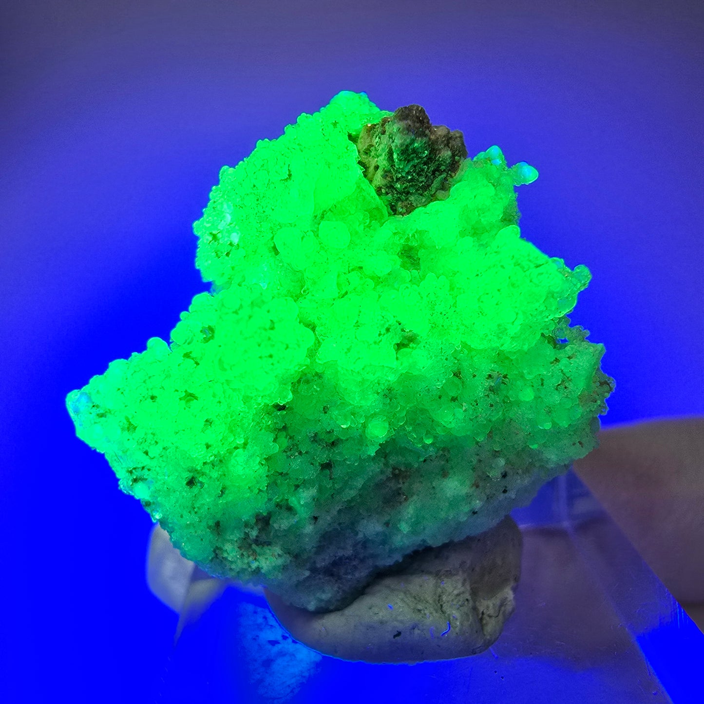 Seltene Hyalit Opal, Schörl Turmalin Stufe Erongo, Namibia 30*26*23mm #13108