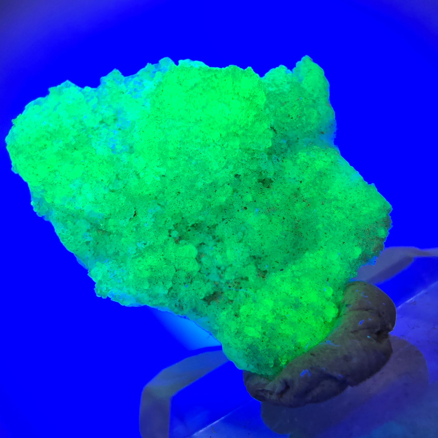 Seltene Hyalit Opal Stufe Erongo, Namibia 29*23*10mm #13112