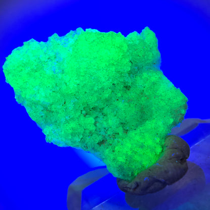 Seltene Hyalit Opal Stufe Erongo, Namibia 29*23*10mm #13112