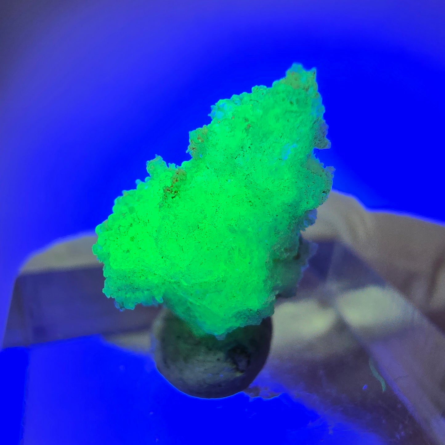 Seltene Hyalit Opal Stufe Erongo, Namibia 17*12*9mm #13118