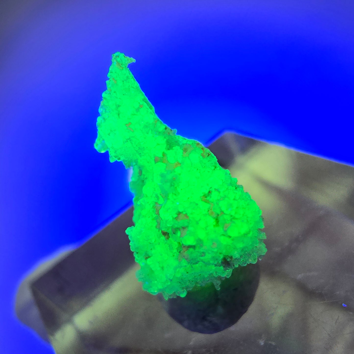 Seltene Hyalit Opal Stufe Erongo, Namibia 17*12*9mm #13118