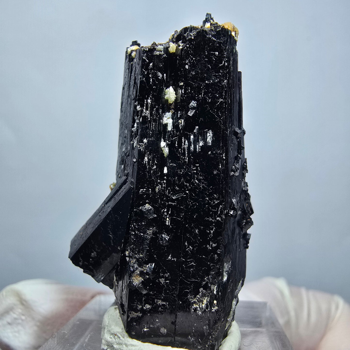Seltene Schörl Turmalin, Muskovit Stufe Erongo, Namibia 39*24*16mm #13131